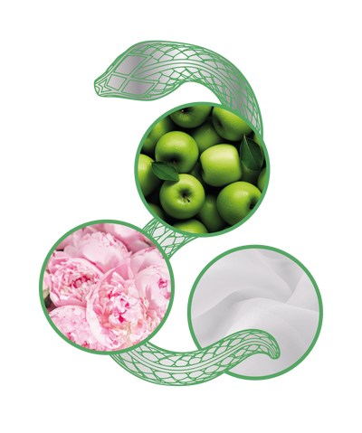 just cavalli wild orchad note