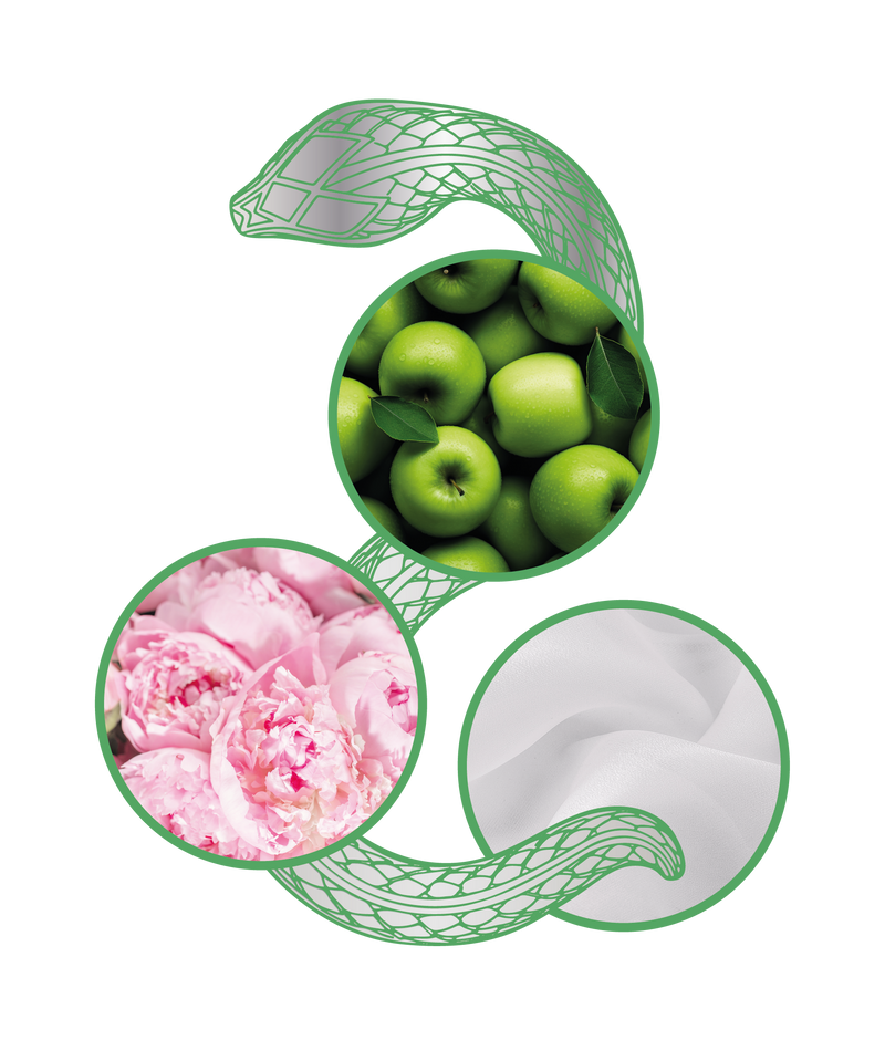 just cavalli wild orchad note